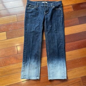 Like New WHBM Noir Low Rise Ombré Capri